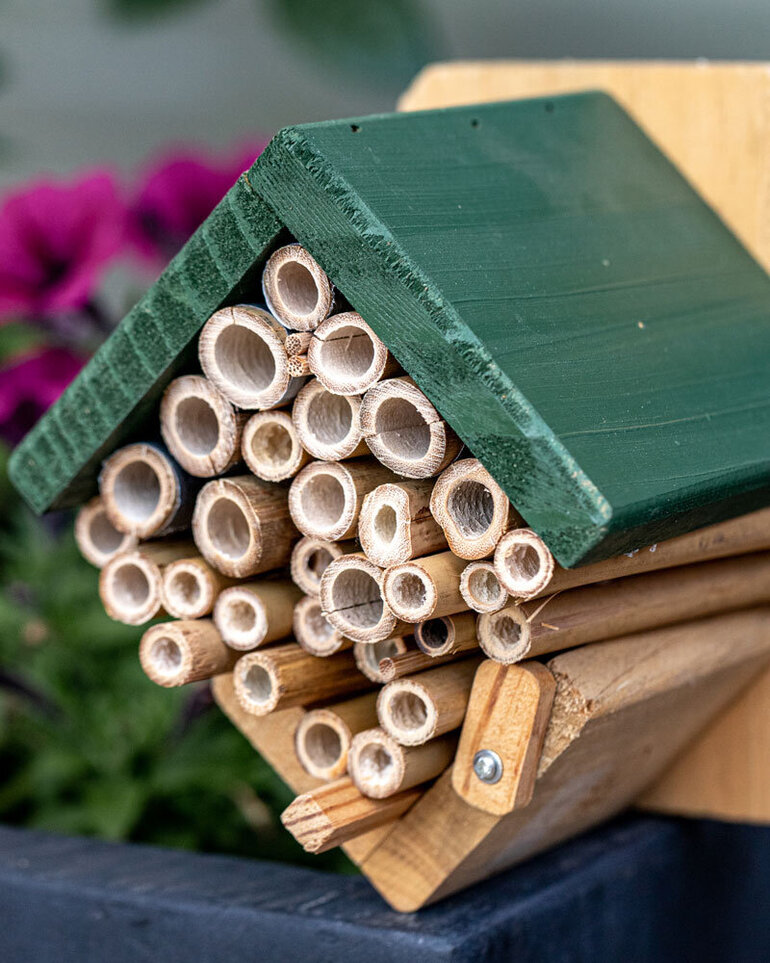 Bienenhotel selbst gemacht