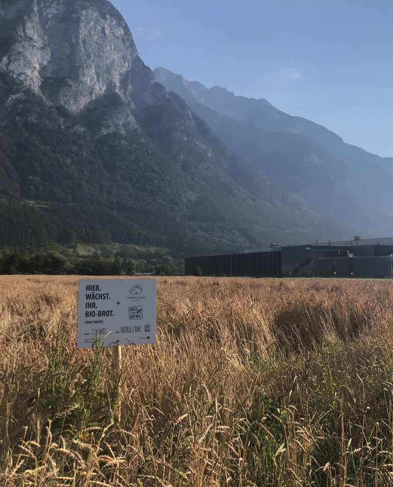 Thereses Bienen, Feld & Wildnis