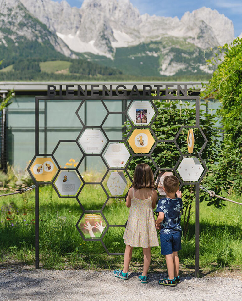 Faszination Bienen