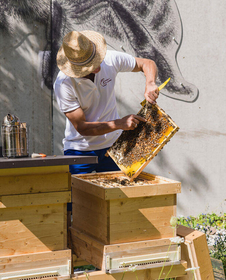 Wir retten die Bienen