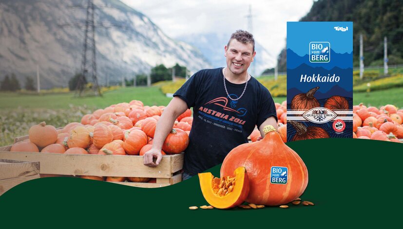 Ein Mann steht neben einem Holzkasten voller Kürbisse auf einem Feld. Im Vordergrund liegt ein halbierter Hokkaido-Kürbis. Im Hintergrund sind Berge und Wiesen sichtbar.